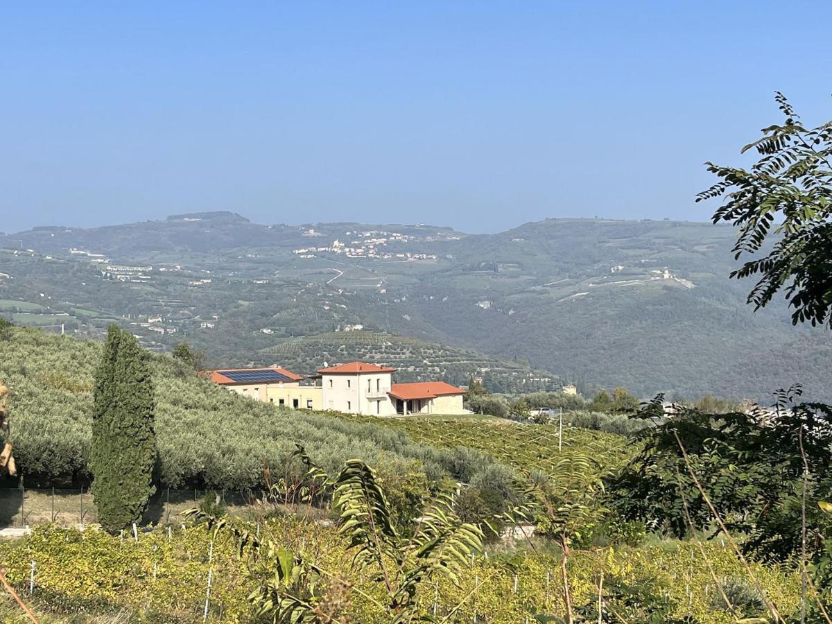 Suite La Torretta - Ca' Del Volo Grezzana Bagian luar foto