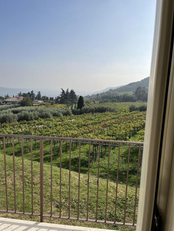 Suite La Torretta - Ca' Del Volo Grezzana Bagian luar foto