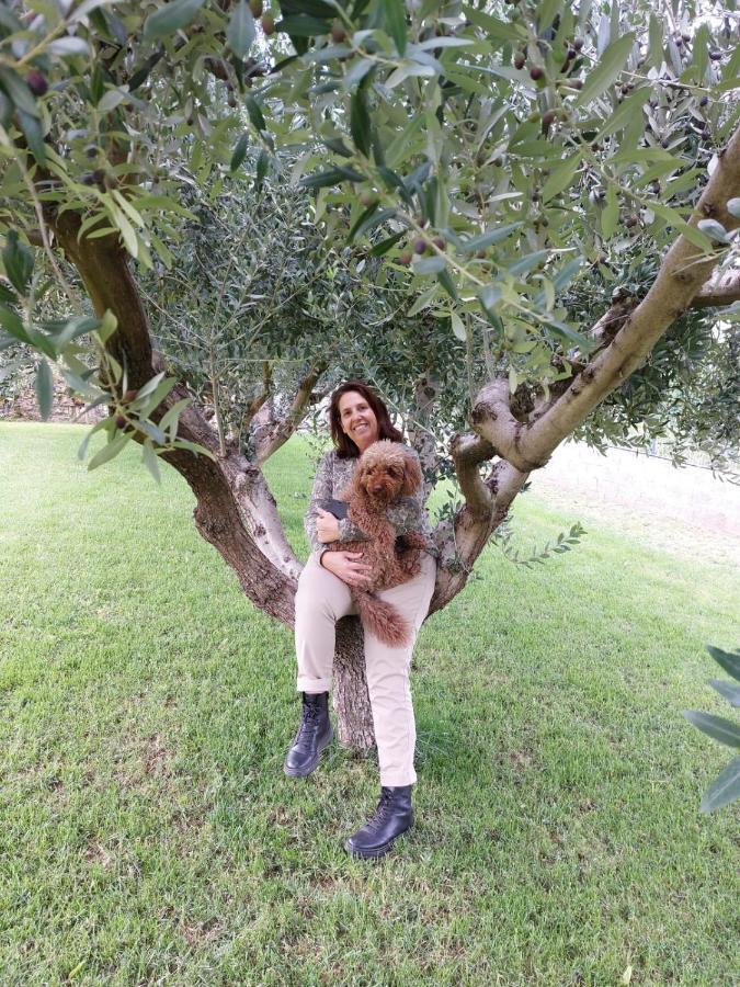 Suite La Torretta - Ca' Del Volo Grezzana Bagian luar foto